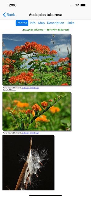 Virginia Wildflowers(圖3)-速報App