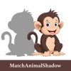 MatchAnimalShadow