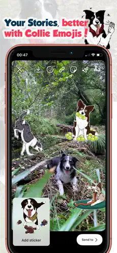 Screenshot 4 Collie Moji - Border emojis iphone