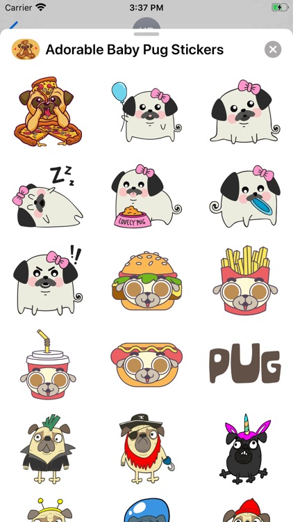 Adorable Baby Pug Stickers