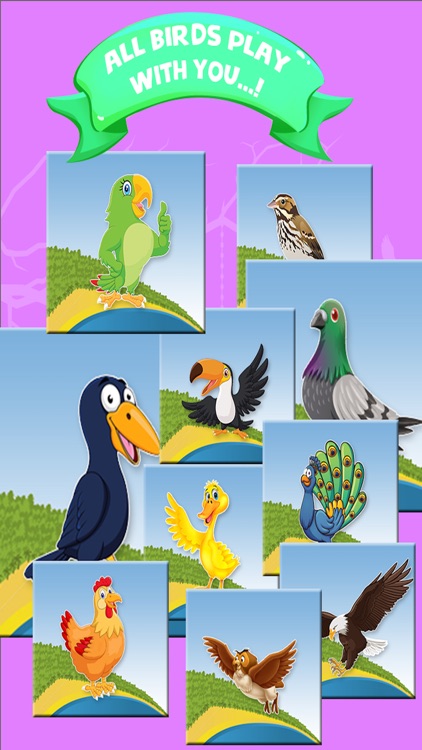 Boys Phone Birds Game Pro screenshot-3