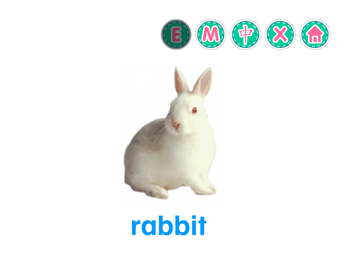 Picture Dictionary - Animals