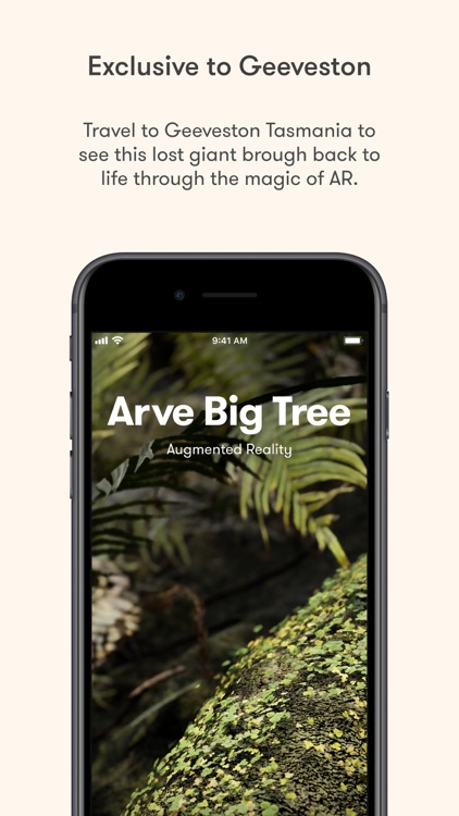 Arve Big Tree