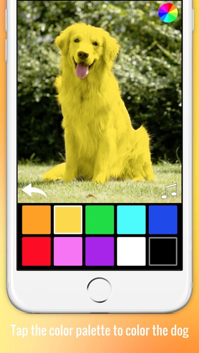 Color Zoo - Learn colors with animals Screenshot 2