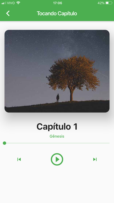 Bíblia Falada ARA screenshot 4
