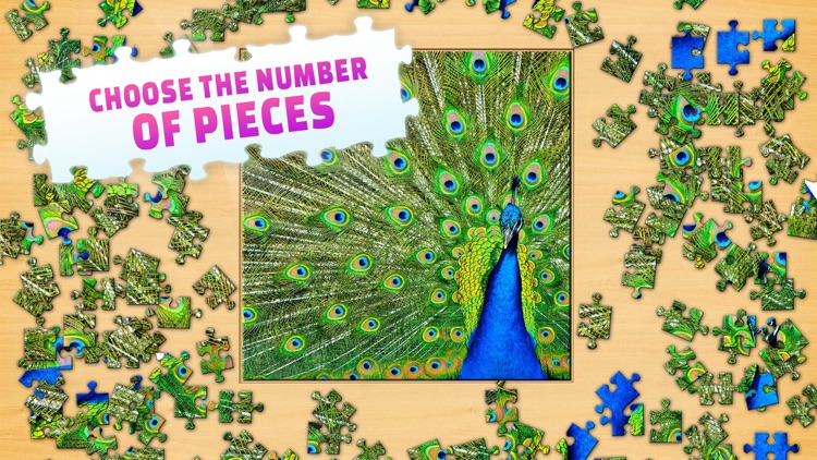 Jigsaw Puzzle screenshot-3