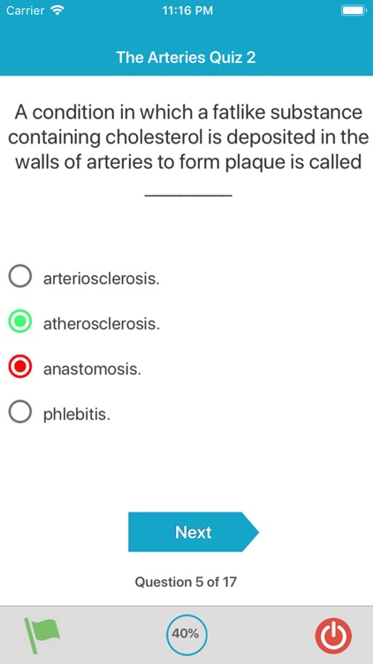 Cardiovascular System Quizzes