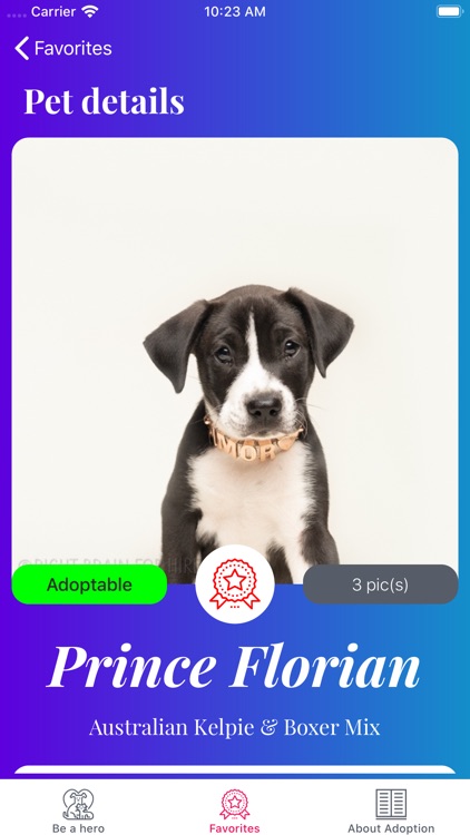 Adopt Pet screenshot-4