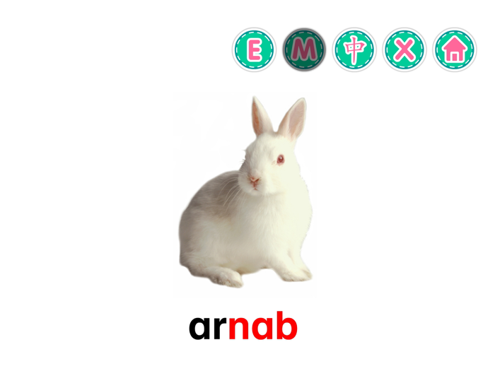 Picture Dictionary - Animals