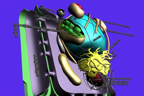 Cell Structure in 3D screenshot 2