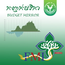 Budget Mirror