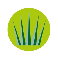 GreenFields App pour PC
