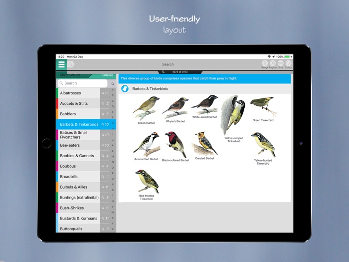 Newman’s Birds of Africa