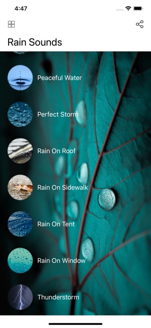 Rain Sounds & Music(圖4)-速報App