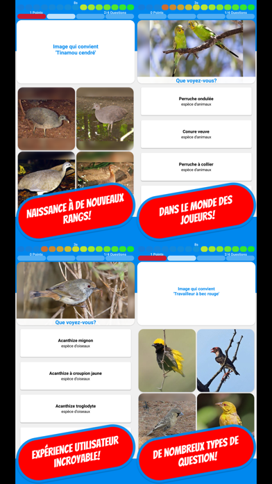 Screenshot #2 pour LES OISEAUX Quiz français