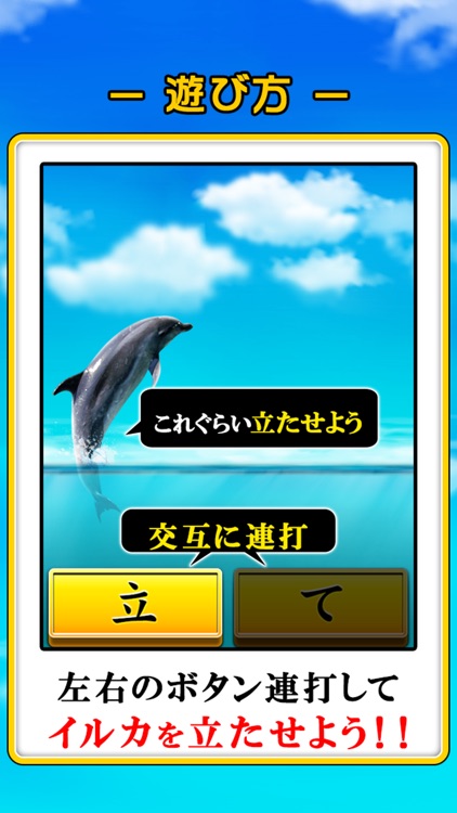 Can Dolphin Stand?