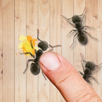 Ant Smasher Idle pour PC