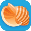 Conchs