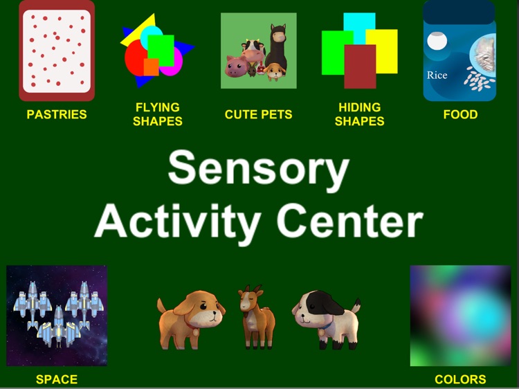 Sensory Activity Center