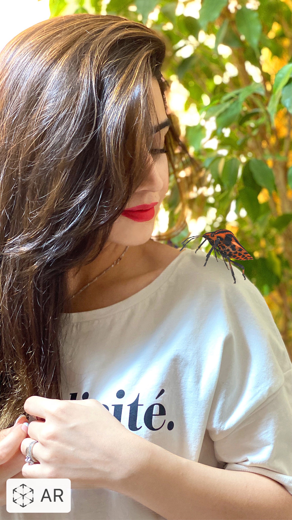 Screenshot do app Insecta: