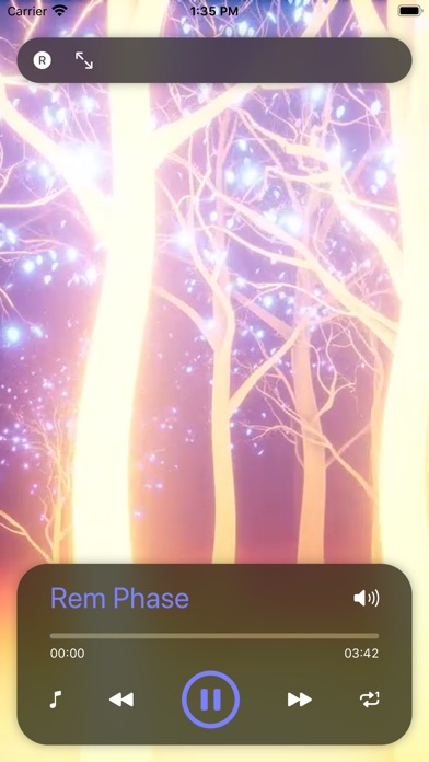 【图】REM睡眠的音樂夢想週期(截图2)