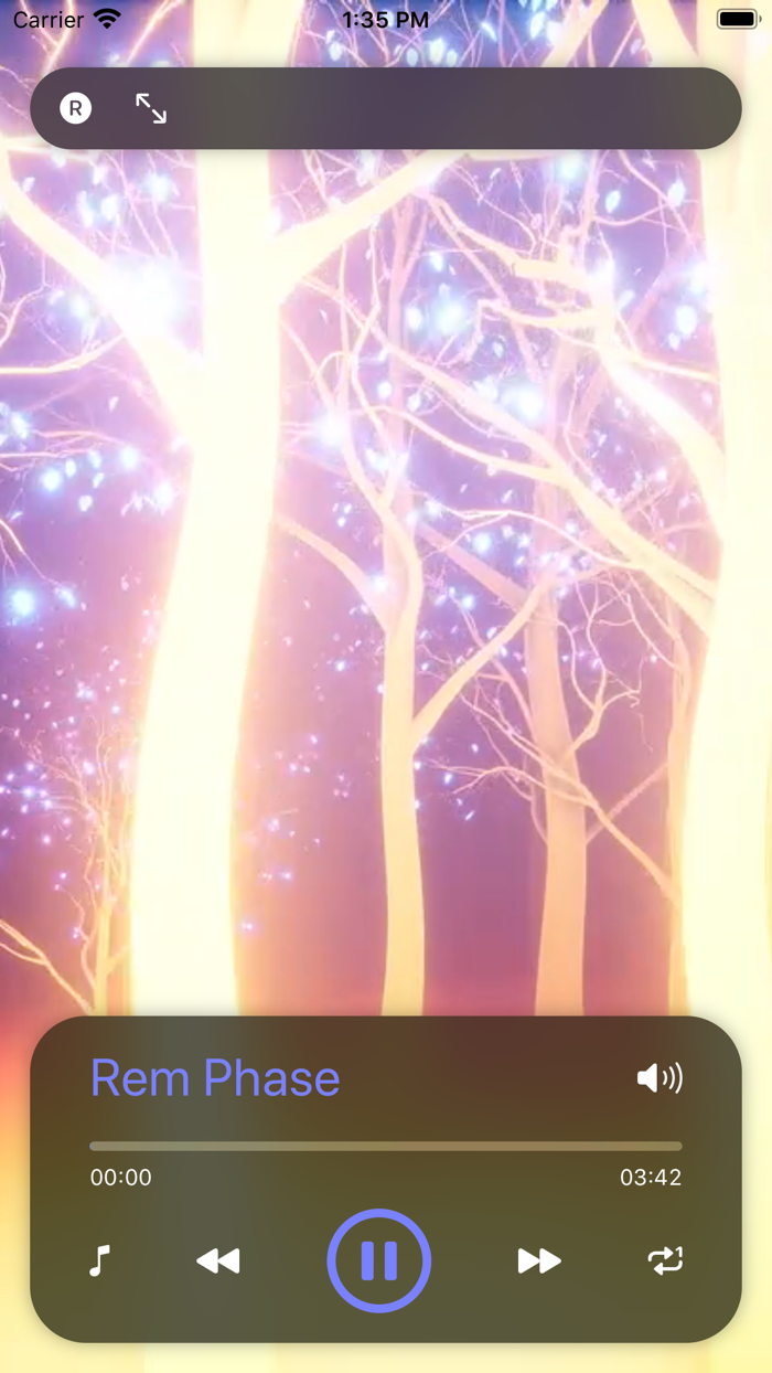 REM睡眠的音樂夢想週期