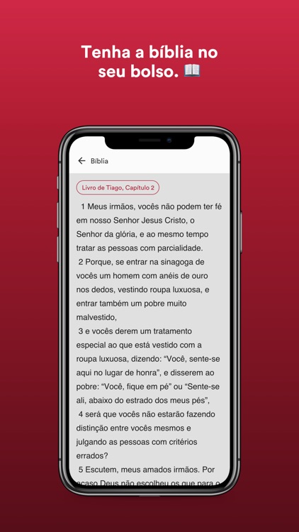 Igreja Nova Vida screenshot-3