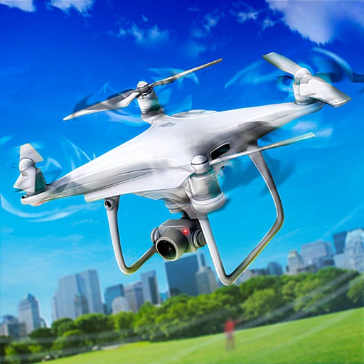 Quadcopter Drone Simulator Icon