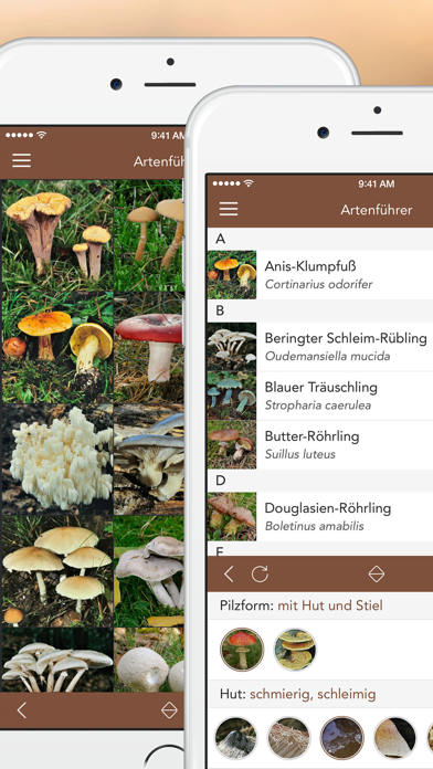 Pilze bestimmen und erkennen: so geht’s mit App (Android, iPhone und am PC)