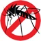 Dengue kills