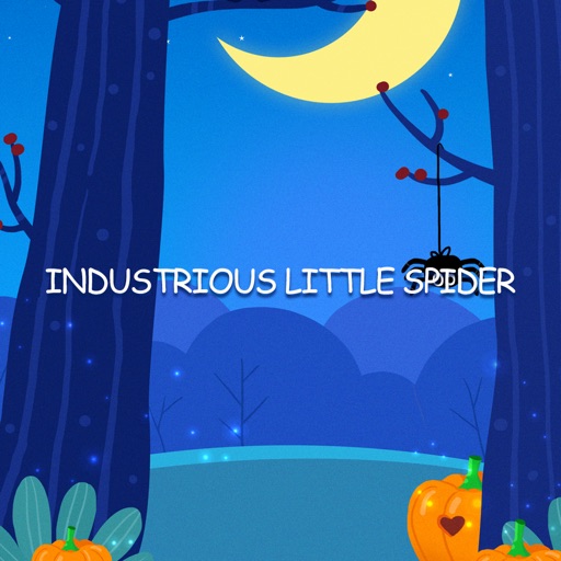 Industrious Little Spider