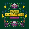 Tecate Comuna