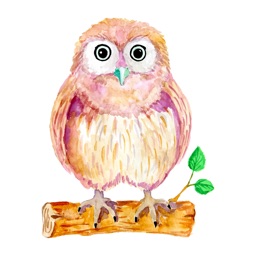 Watercolor Owl Stickers Pack