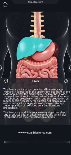 AR Human Anatomy(圖6)-速報App