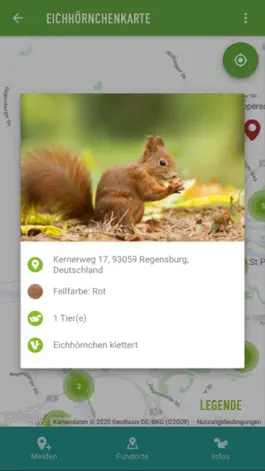 Game screenshot Eichhörnchen in Bayern hack