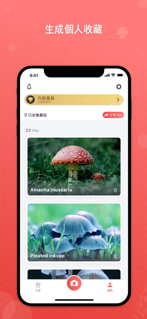 Picture Mushroom - 拍照識別蘑菇(圖4)-速報App