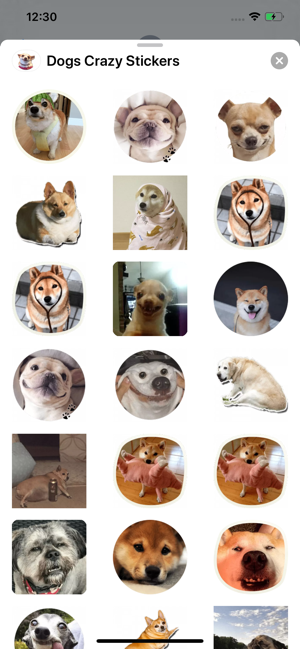 Dogs Crazy Stickers(圖5)-速報App