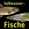 Europäische Süßwasserfische Europäische Süßwasserfische