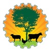 Petra Livestock Expo