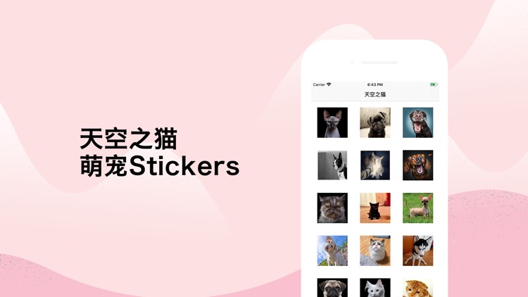 天空之猫 - 萌宠Stickers