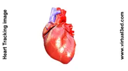ar human heart – a glimpse iphone screenshot 2