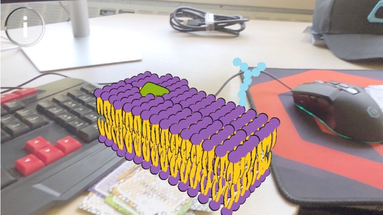 M&G AR Cards: Cellular Biology screenshot-5