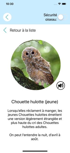 CuiCuiMatique chants d'oiseaux(圖6)-速報App