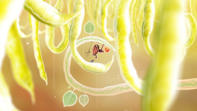 Botanicula