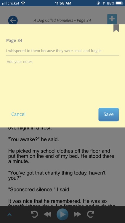Learning Ally Audiobooks