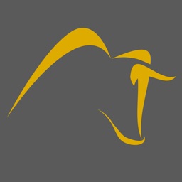 Thorus Controle Financeiro