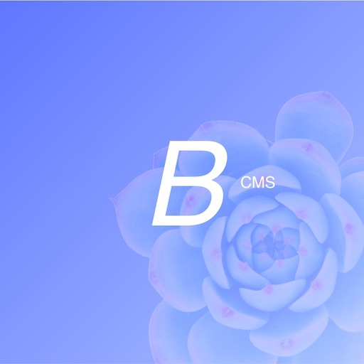 BinmoCMS