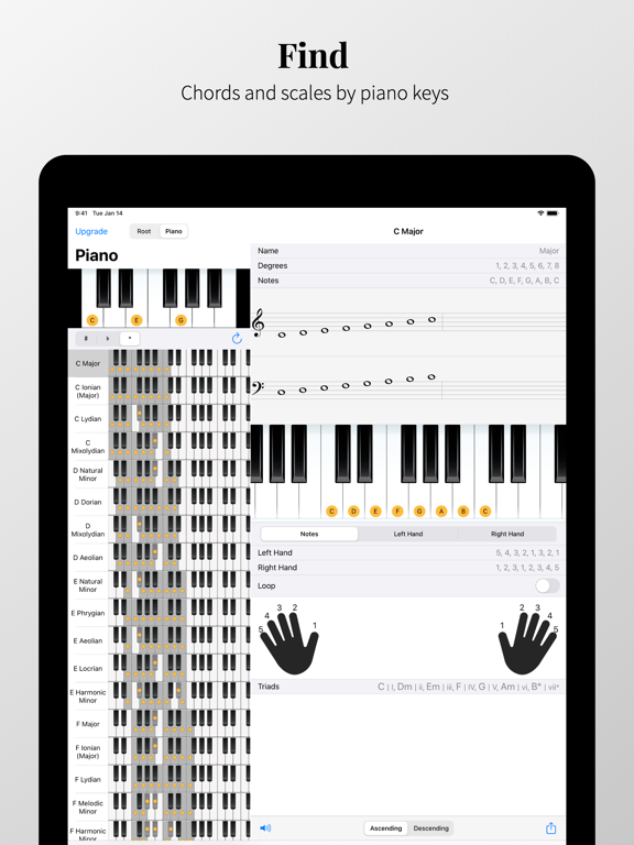 Chords and Scales - interactive scale, chord and chord progression