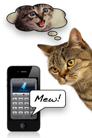 Human-to-Cat Translator - náhled