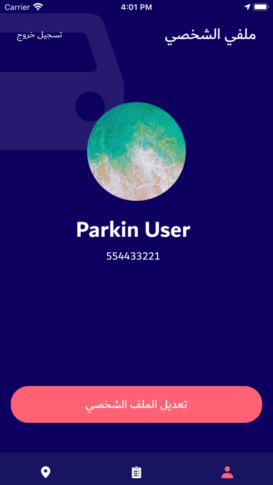 Parkin screenshot 3